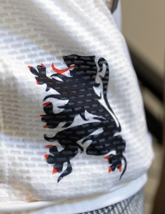 Coat of arms of Flanders on cycling jersey